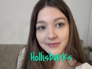 Hollisbarks