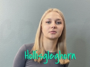 Hollisgleghorn