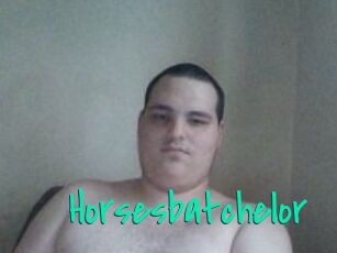Horsesbatchelor