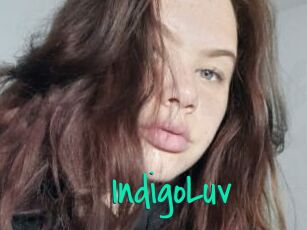 IndigoLuv