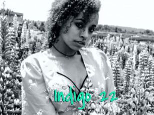 Indigo_22