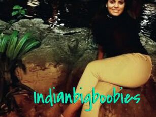 Indianbigboobies