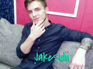 JakeSulii