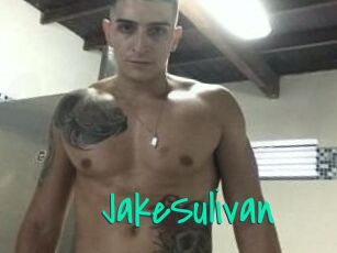 Jake_Sulivan
