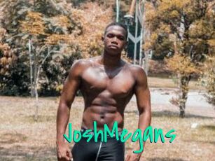 JoshMegans