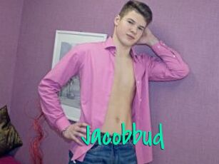 Jacobbud
