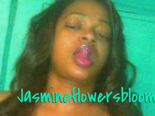 Jasmineflowersbloom