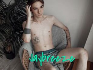 Jaybreeze