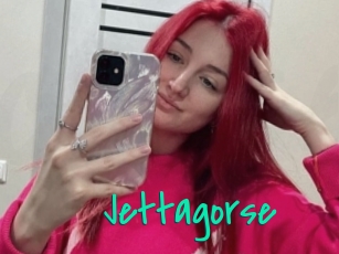 Jettagorse