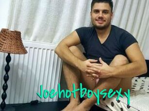 Joehotboysexy