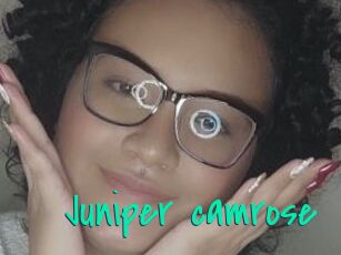 Juniper_camrose