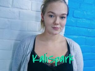 KaliSpark