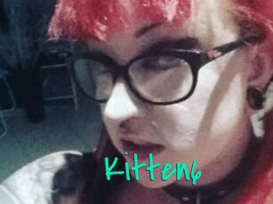 Kitten6