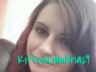 KittenCambria69