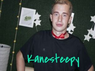 Kanesteepy