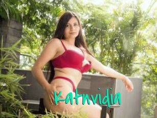 Katnvidia