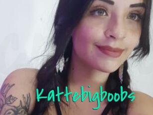 Kattebigboobs