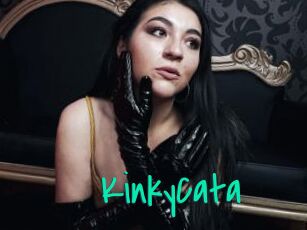 KinkyCata