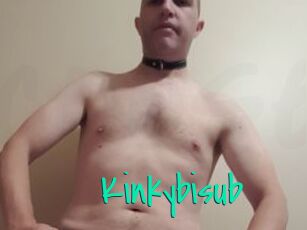 Kinkybisub