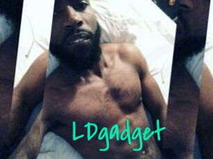 LDgadget