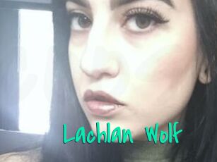 Lachlan_Wolf