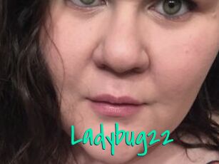 Ladybug22