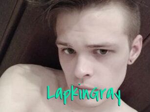 LapkinGray