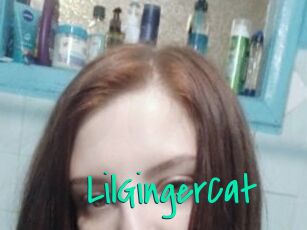 LilGingerCat