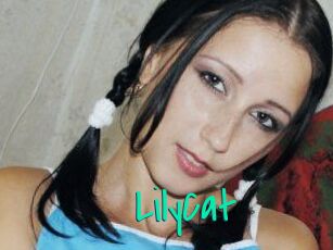 Lily_Cat_