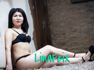 LinaFeiX
