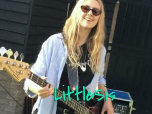LittleSis