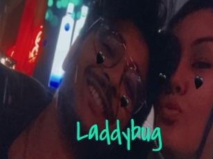Laddybug