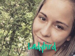Ladybird