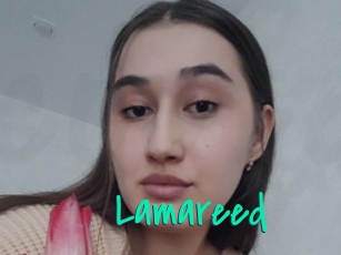 Lamareed