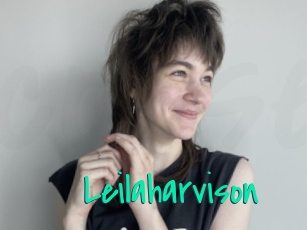 Leilaharvison