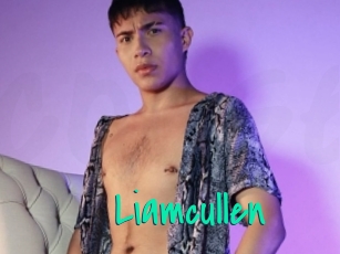 Liamcullen