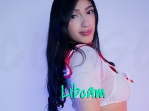 Libcam
