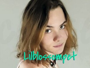 Lilblossompet