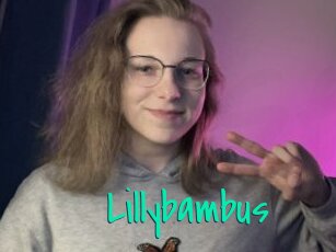 Lillybambus