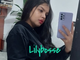Lilybosse