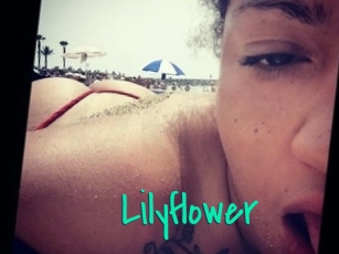 lilyflower Cool Sexe