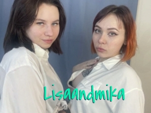 Lisaandmika