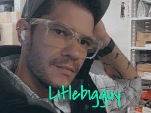 Litlebigguy