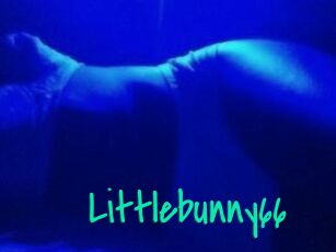 Littlebunny66