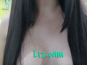 Lizcam
