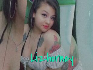 Lizhorney