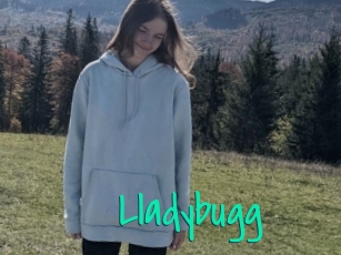 Lladybugg
