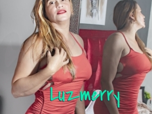 Luzmerry