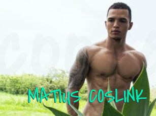 MATIUS_COSLINK