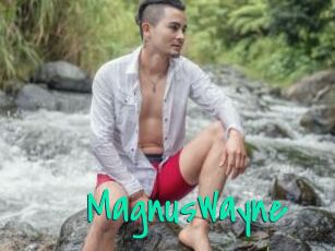 MagnusWayne